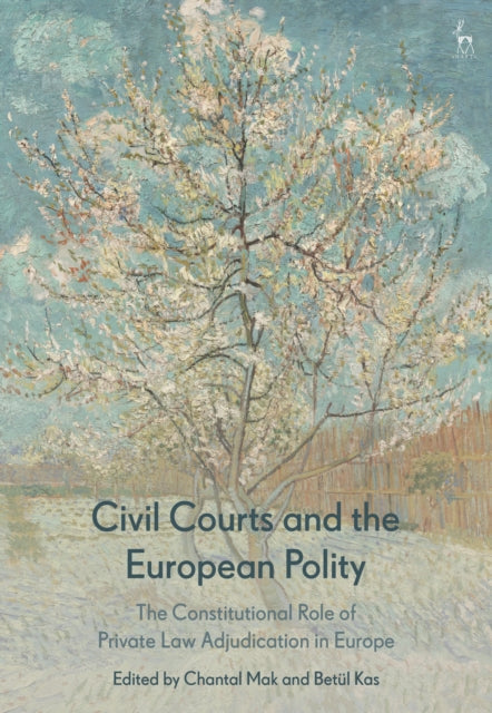 Civil Courts and the European Polity: The