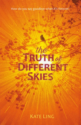 Ventura Saga: The Truth of Different Skies: Book 3