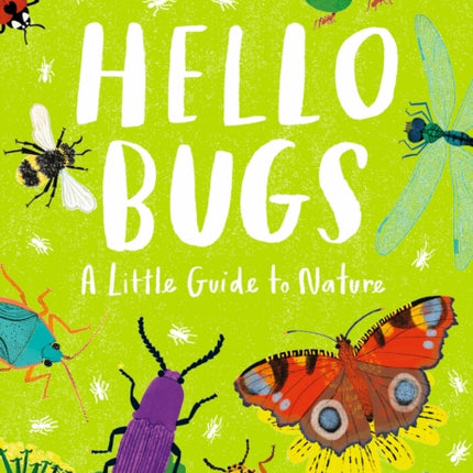 Little Guides to Nature Hello Bugs