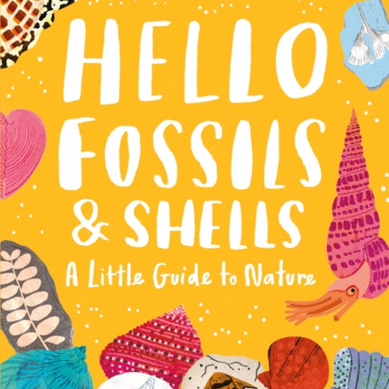 Little Guides to Nature Hello Fossils and Shells