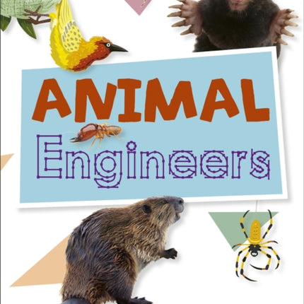 Reading Planet KS2 - Animal Engineers - Level 1: Stars/Lime band