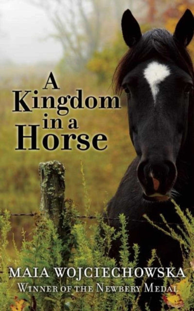 A Kingdom in a Horse