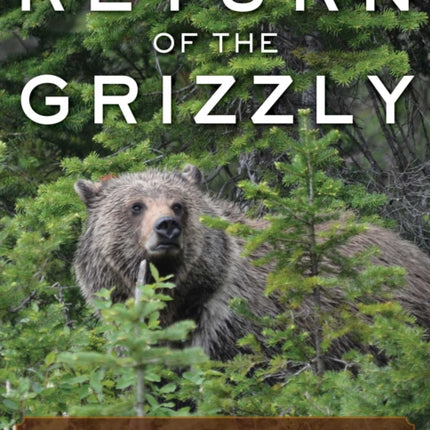 Return of the Grizzly: Sharing the Range with Yellowstone's Top Predator