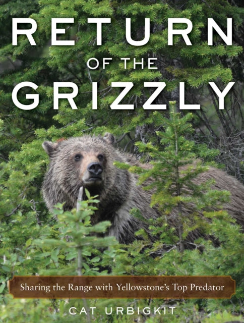 Return of the Grizzly: Sharing the Range with Yellowstone's Top Predator