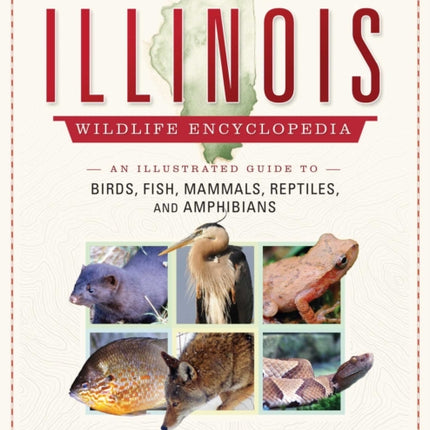 Illinois Wildlife Encyclopedia: An Illustrated Guide to Birds, Fish, Mammals, Reptiles, and Amphibians