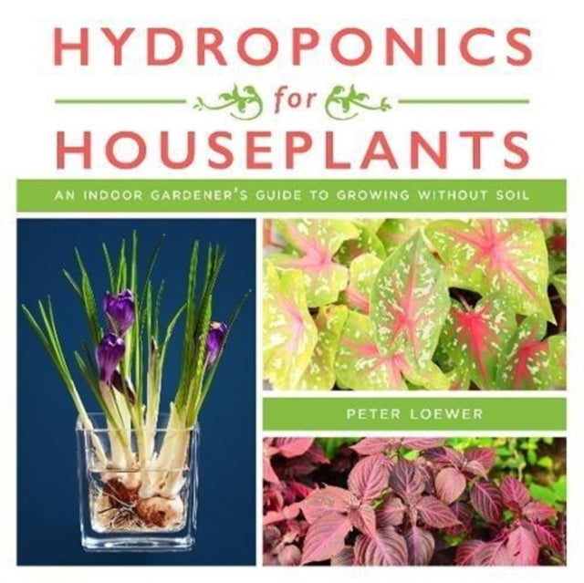 Hydroponics for Houseplants