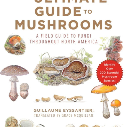 The Ultimate Guide to Mushrooms