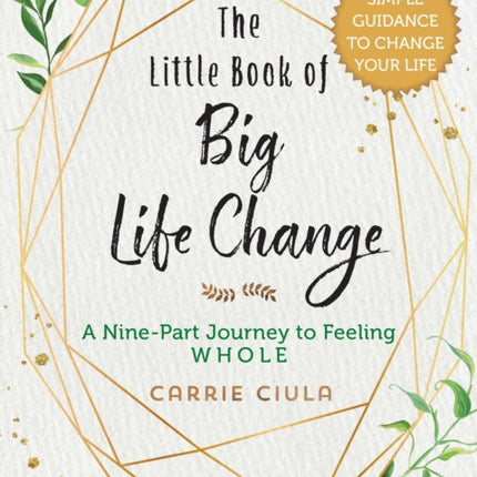 The Little Book of Big Life Change