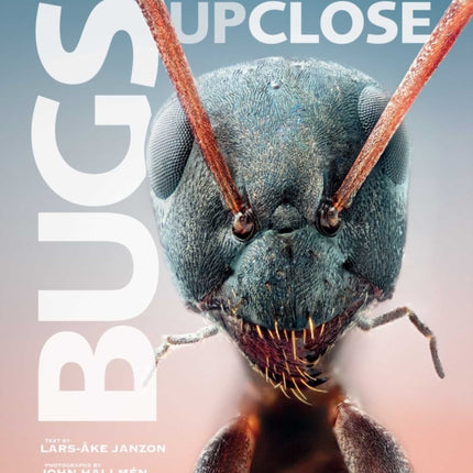 Bugs Up Close