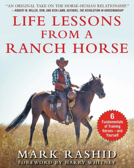Life Lessons from a Ranch Horse: 6 Fundamentals