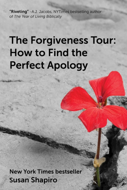 The Forgiveness Tour: How To Find the Perfect Apology