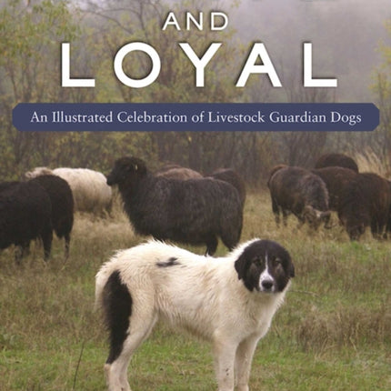 Livestock Guardian Dogs: An Illustrated Celebration