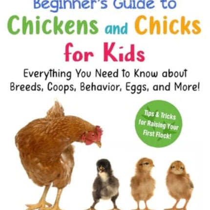 The Best Beginners Guide to Chickens and Chicks