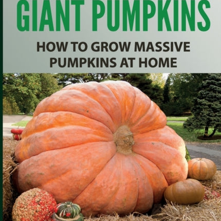 Growing Giant Pumpkins - How To Grow Massive Pumpkins At Home: Secrets For Championship Winning Giant Pumpkins