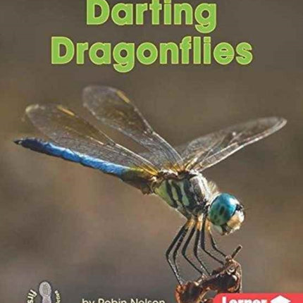 Darting Dragonflies