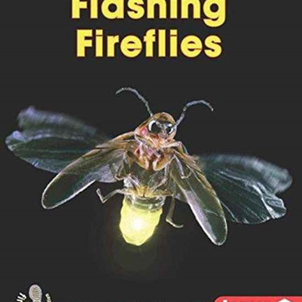 Flashing Fireflies