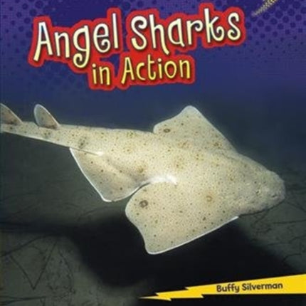 Angel Sharks in Action