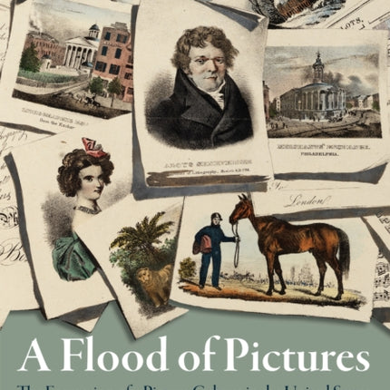 A Flood of Pictures