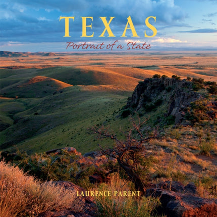 Texas: Portrait of a State