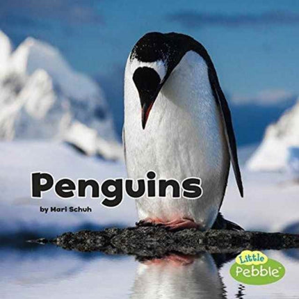 Penguins (Black and White Animals)