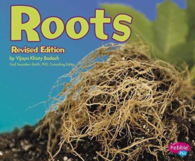 Roots (Plant Parts)