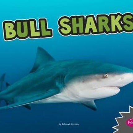 Bull Sharks (All About Sharks)