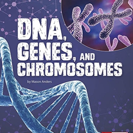 DNA, Genes, and Chromosomes