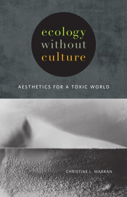 Ecology without Culture: Aesthetics for a Toxic World