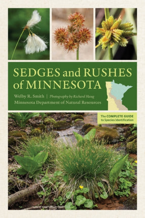 Sedges and Rushes of Minnesota: The Complete