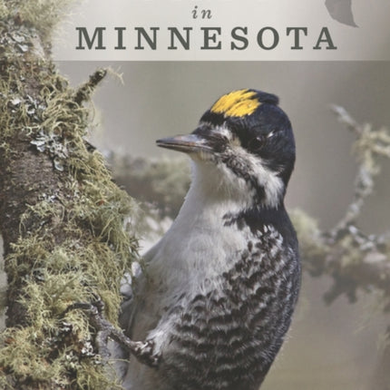 Birds in Minnesota: Revised and Expanded Edition