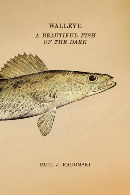 Walleye: A Beautiful Fish of the Dark