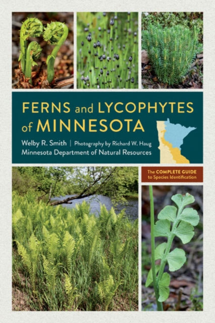 Ferns and Lycophytes of Minnesota: The Complete