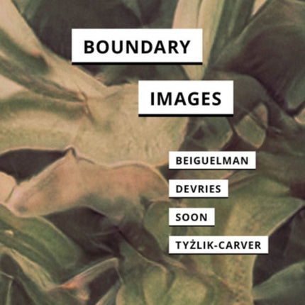 Boundary Images