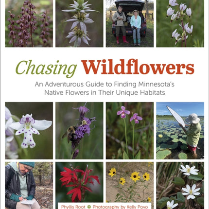 Chasing Wildflowers