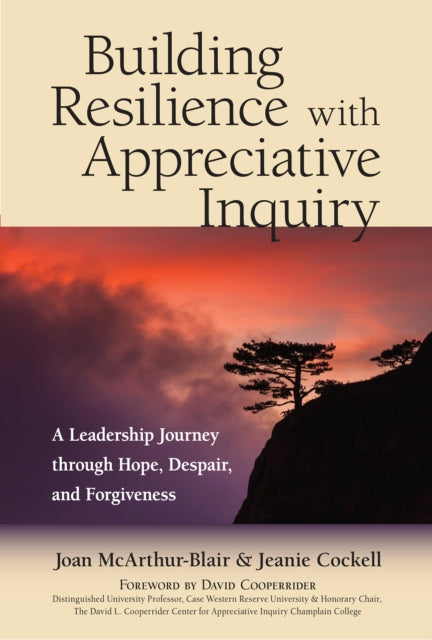 Building Resilience with Appreciative Inquiry: A Leadership Journey through Hope, Despair, and Forgiveness