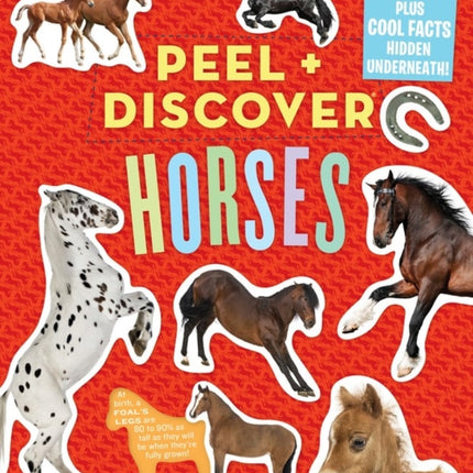 Peel + Discover: Horses