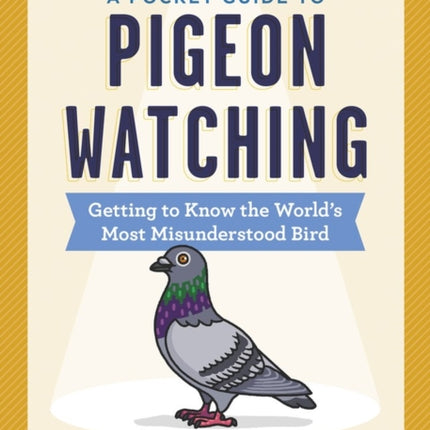 A Pocket Guide to Pigeon Watching: Getting to Know the World's Most Misunderstood Bird