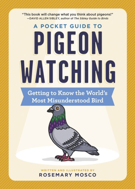 A Pocket Guide to Pigeon Watching: Getting to Know the World's Most Misunderstood Bird