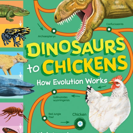 Dinosaurs to Chickens