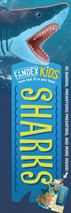 Fandex Kids Sharks