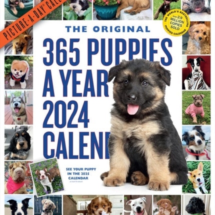 365 Puppies-A-Year Picture-A-Day Wall Calendar 2024: Absolutely Spilling Over With Puppies