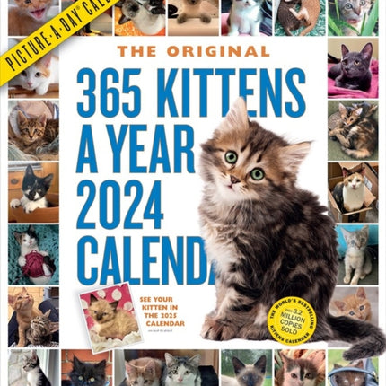 365 Kittens-A-Year Picture-A-Day Wall Calendar 2024: Absolutely Spilling Over With Kittens