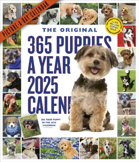 365 PuppiesAYear PictureADay Wall Calendar 2025