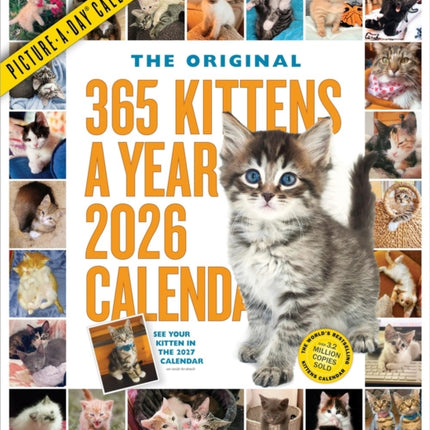 365 KittensAYear PictureADay Wall Calendar 2026