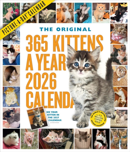 365 KittensAYear PictureADay Wall Calendar 2026