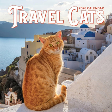 Travel Cats Wall Calendar 2026