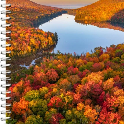 Audubon Engagement Calendar 2026