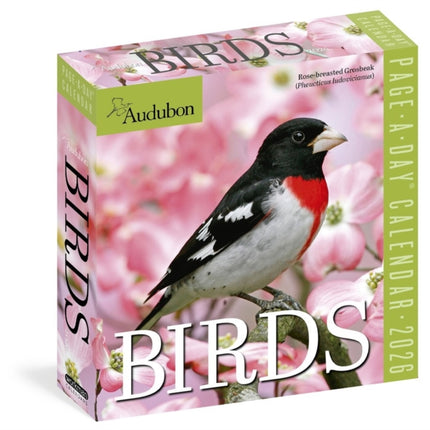 Audubon Birds PageADay Calendar 2026