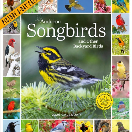 Audubon Songbirds And Other Backyard Birds