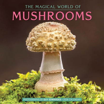 The Magical World of Mushrooms Wall Calendar 2026